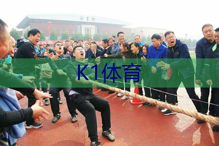 网球拍全碳和碳素复合