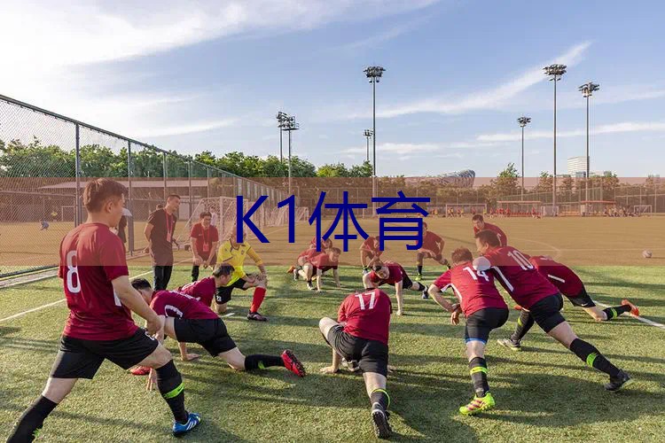 网球拍铝好还是碳纤维好